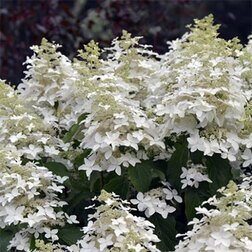 ������ ������ ��������� ����������� ���� �� ����   ����