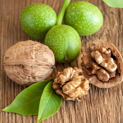 ������ ������ ���� ������� ������������ ������ (� �����)   ����