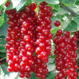 ������ ������ ��������� ������� ������   ����