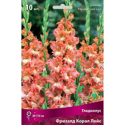 ������ ������ ��������� ������� ����� ����   ����