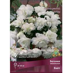 ������ ������ ������� ��������� ���� (1 ��.)   ����