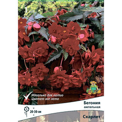 ������ ������ ������� ��������� ������� (1 ��.)   ����