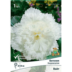 ������ ������ ������� ����������� ���� (1 ��.)   ����