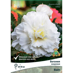 ������ ������ ������� �������� ���� (1 ��.)   ����