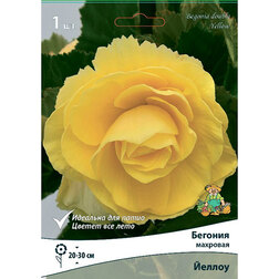 ������ ������ ������� �������� ������ (1 ��.)   ����