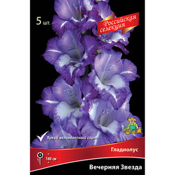 ������ ������ ��������� �������� ������ (5 ��.)   ����