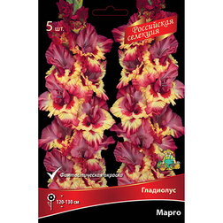 ������ ������ ��������� ����� (5��) ��� ������   ����