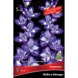 ������ ������ ��������� ���� � ������ (5��)   ����