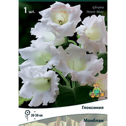 ������ ������ ��������� ������� (1 ��.)   ����