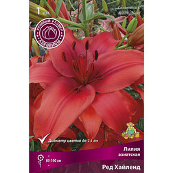 ������ ������ ����� ��������� ��� ������� (1 ��.)   ����