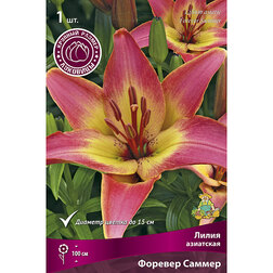 ������ ������ ����� ��������� ������� ������ (1 ��.)   ����