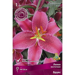 ������ ������ ����� ��������� ����� (1 ��.)   ����