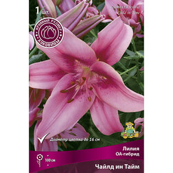 ������ ������ ����� ��-������ ����� �� ���� (1 ��.)   ����