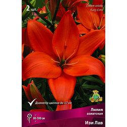 ������ ������ ����� ��������� ��� ��� (2 ��.)   ����