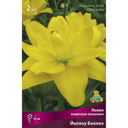 ������ ������ ����� ��������� ������ ������ (2 ��.)   ����