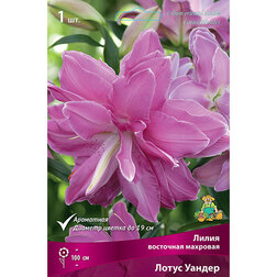 ������ ������ ����� ��������� ����� ������   ����