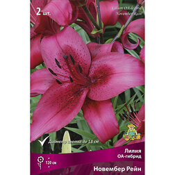 ������ ������ ����� ��-������ �������� ���� (2��)   ����