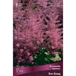 ������ ������ �������� ������� ��� ����   ����