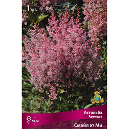 ������ ������ �������� ������� ����� �� ��   ����