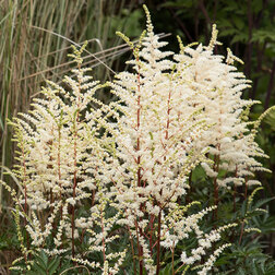 ������ ������ �������� ������� ����� ������   ����