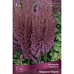 ������ ������ �������� ��������� ������� �����   ����