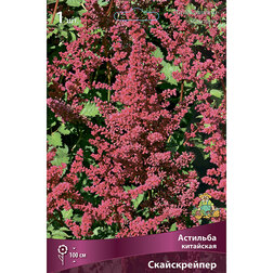 ������ ������ �������� ��������� ������������   ����