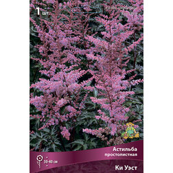 ������ ������ �������� ������������� �� ����   ����