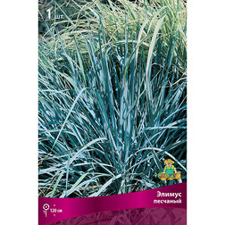 ������ ������ ������ ��������   ����