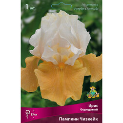 ������ ������ ���� ��������� ������� �������   ����