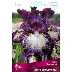 ������ ������ ���� ��������� ����� �� ��������   ����