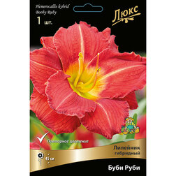 ������ ������ �������� ��������� ���� ����   ����