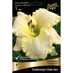 ������ ������ �������� ��������� ���������� ���� ���   ����