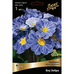 ������ ������ ������� ������������ ��� �����   ����