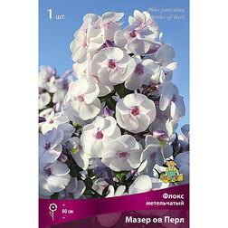 ������ ������ ����� ����������� ����� �� ����   ����