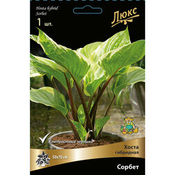 ������ ������ ����� ��������� ������   ����