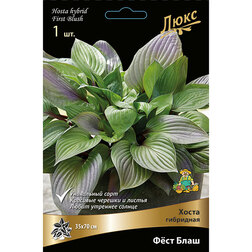 ������ ������ ����� ��������� Ը�� ����   ����