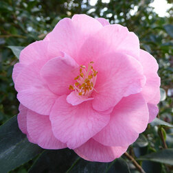 ������ ������ ������� �������� ������ ���������   ����