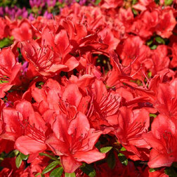 ������ ������ ������ �������� ��������   ����