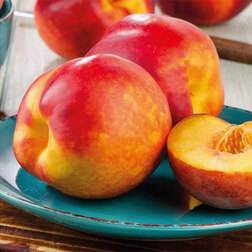 ������ ������ �������� ���������� ����� (������ �����) (� �����)   ����