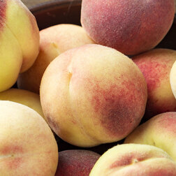 ������ ������ ������ �������� (������ �����) ( � �����)   ����