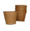 ������ ������ ������ �������� (80�80)   ����