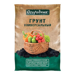 ������ ������ ���������� ���������� ������������� (9 �)   ����