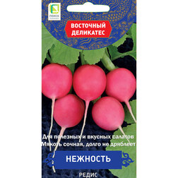 ������ ������ ����� �������� (��������� ���������)   ����