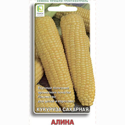 ������ ������ �������� �������� ����� (5��.)   ����