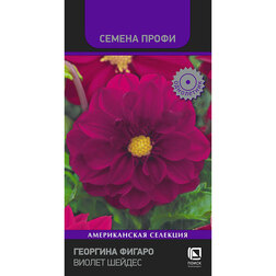 ������ ������ �������� ������ ������ ������ (������ �����)   ����