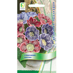 ������ ������ ��������� ������   ����