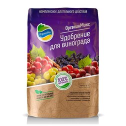 ������ ������ ����������� ��������� ��� ��������� (850 �)   ����