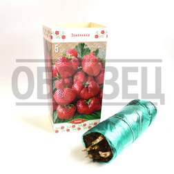 ������ ������ ���������� �������� (5 ��.)   ����