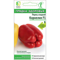 ������ ������ ����� ������� �������� F1 (������ ��������)   ����