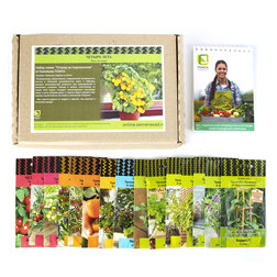 ������ ������ ����� ����� 